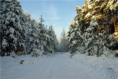 《漫威蜘蛛侠2》DLC超级反派“甲壳虫”概念艺术泄露